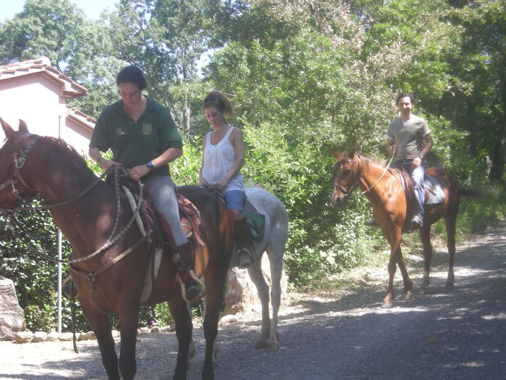 Agriturismo Castellum Aquarum Manciano Dış mekan fotoğraf